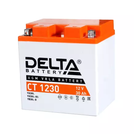 DELTA AGM CT - 1230 (YTX30L-BS) DELTA AGM CT - 1230 (YTX30L-BS)